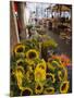 Sunflowers for Sale in Rialto Market, Venice, Veneto, Italy, Europe-Martin Child-Mounted Photographic Print