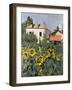 Sunflowers, Garden at Petit Gennevilliers, ca 1885-null-Framed Giclee Print