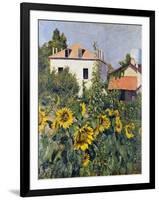 Sunflowers, Garden at Petit Gennevilliers, ca 1885-null-Framed Giclee Print