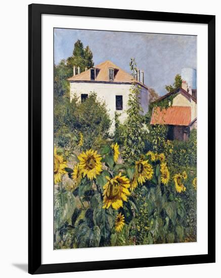 Sunflowers, Garden at Petit Gennevilliers, ca 1885-null-Framed Giclee Print