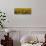 Sunflowers (Helianthus annuus) growing in a field, Dunham, Quebec, Canada-null-Photographic Print displayed on a wall