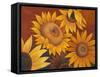 Sunflowers I-Vivien Rhyan-Framed Stretched Canvas