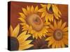 Sunflowers I-Vivien Rhyan-Stretched Canvas