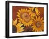 Sunflowers I-Vivien Rhyan-Framed Art Print