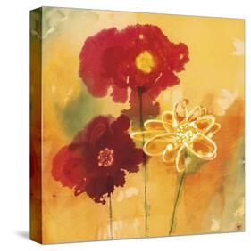 Sunflowers II-Aunaray Carol Clusiau-Stretched Canvas