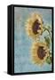 Sunflowers II-Kathy Mahan-Framed Stretched Canvas