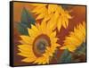 Sunflowers II-Vivien Rhyan-Framed Stretched Canvas