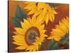 Sunflowers II-Vivien Rhyan-Stretched Canvas