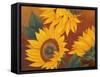 Sunflowers II-Vivien Rhyan-Framed Stretched Canvas