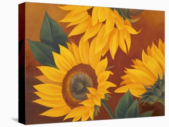 Sunflowers II-Vivien Rhyan-Stretched Canvas