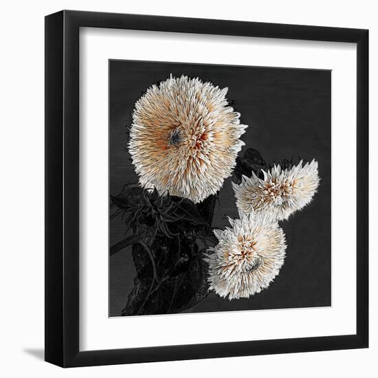 Sunflowers II-Shelley Lake-Framed Art Print