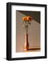 Sunflowers in a Vase. Concept Minimal Art Photography.-yoann-Framed Photographic Print