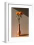 Sunflowers in a Vase. Concept Minimal Art Photography.-yoann-Framed Photographic Print