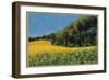 Sunflowers in Perugia-Helen J. Vaughn-Framed Giclee Print