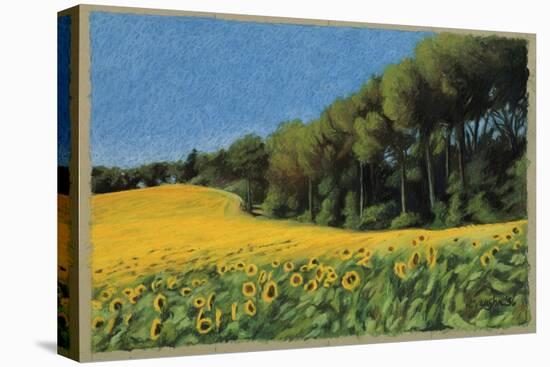 Sunflowers in Perugia-Helen J. Vaughn-Stretched Canvas