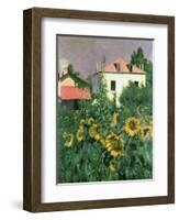 Sunflowers in the Garden at Petit Gennevilliers-Gustave Caillebotte-Framed Giclee Print