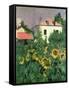 Sunflowers in the Garden at Petit Gennevilliers-Gustave Caillebotte-Framed Stretched Canvas