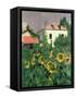 Sunflowers in the Garden at Petit Gennevilliers-Gustave Caillebotte-Framed Stretched Canvas