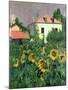 Sunflowers in the Garden at Petit Gennevilliers-Gustave Caillebotte-Mounted Giclee Print