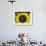 Sunflowers in the Morning Light, Provence, France-Nadia Isakova-Framed Photographic Print displayed on a wall