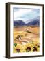 Sunflowers in Tuscany-Irina Trzaskos Studios-Framed Giclee Print