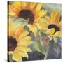 Sunflowers in Watercolor II-null-Stretched Canvas