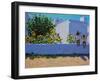 Sunflowers,morning,Galicia,-Andrew Macara-Framed Giclee Print