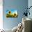 Sunflowers, Near Chalabre, Aude, France, Europe-James Strachan-Photographic Print displayed on a wall