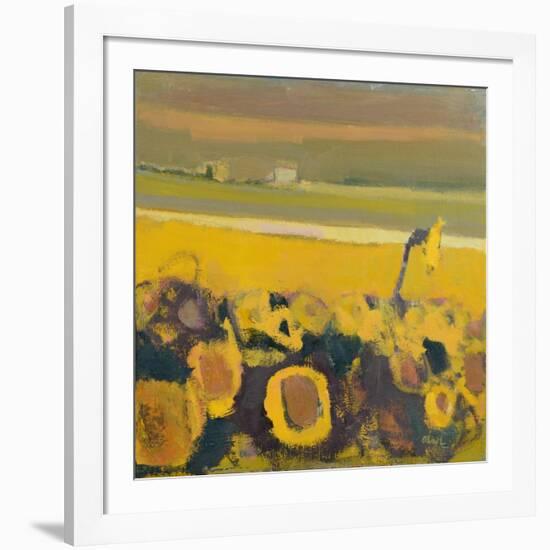 Sunflowers near Puymirol, 2017-Michael G. Clark-Framed Giclee Print