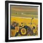 Sunflowers near Puymirol, 2017-Michael G. Clark-Framed Giclee Print