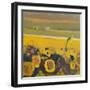 Sunflowers near Puymirol, 2017-Michael G. Clark-Framed Giclee Print