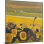 Sunflowers near Puymirol, 2017-Michael G. Clark-Mounted Giclee Print