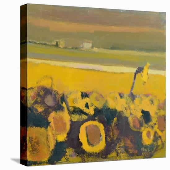 Sunflowers near Puymirol, 2017-Michael G. Clark-Stretched Canvas