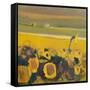 Sunflowers near Puymirol, 2017-Michael G. Clark-Framed Stretched Canvas