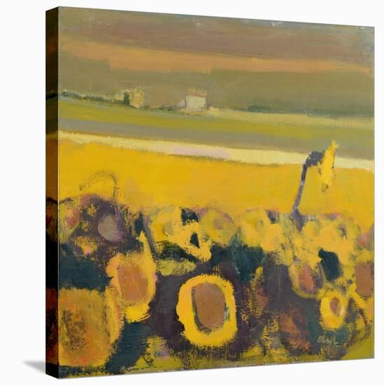 Sunflowers near Puymirol, 2017-Michael G. Clark-Stretched Canvas
