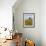 Sunflowers, Near Ronda, Andalucia, Spain, Europe-Mark Banks-Framed Photographic Print displayed on a wall