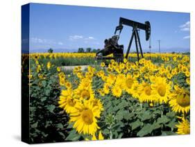 Sunflowers, Oil Derrick, Colorado, USA-Terry Eggers-Stretched Canvas