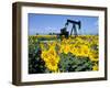 Sunflowers, Oil Derrick, Colorado, USA-Terry Eggers-Framed Photographic Print