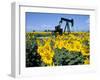 Sunflowers, Oil Derrick, Colorado, USA-Terry Eggers-Framed Photographic Print