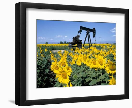 Sunflowers, Oil Derrick, Colorado, USA-Terry Eggers-Framed Photographic Print