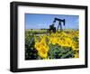 Sunflowers, Oil Derrick, Colorado, USA-Terry Eggers-Framed Photographic Print