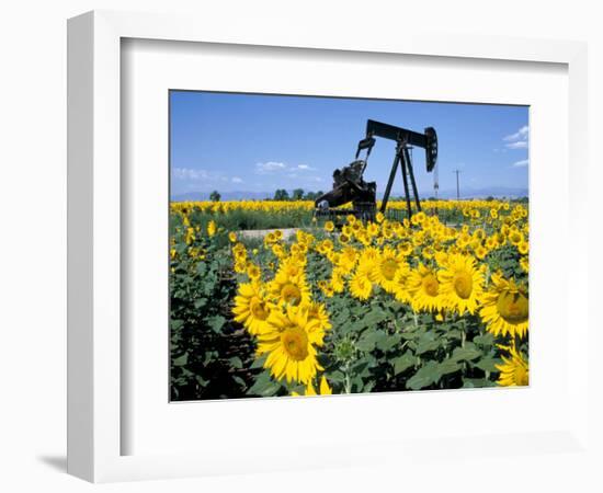 Sunflowers, Oil Derrick, Colorado, USA-Terry Eggers-Framed Photographic Print