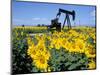 Sunflowers, Oil Derrick, Colorado, USA-Terry Eggers-Mounted Photographic Print