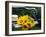 Sunflowers on a Garden Chair-Roland Krieg-Framed Photographic Print