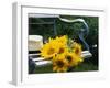 Sunflowers on a Garden Chair-Roland Krieg-Framed Photographic Print