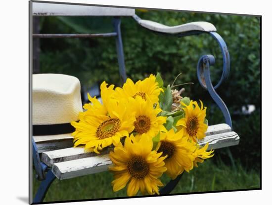 Sunflowers on a Garden Chair-Roland Krieg-Mounted Photographic Print