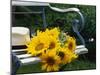 Sunflowers on a Garden Chair-Roland Krieg-Mounted Photographic Print