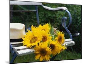 Sunflowers on a Garden Chair-Roland Krieg-Mounted Photographic Print