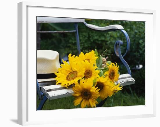 Sunflowers on a Garden Chair-Roland Krieg-Framed Photographic Print