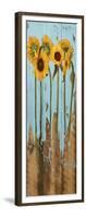 Sunflowers on Wood II-Sandra Iafrate-Framed Art Print
